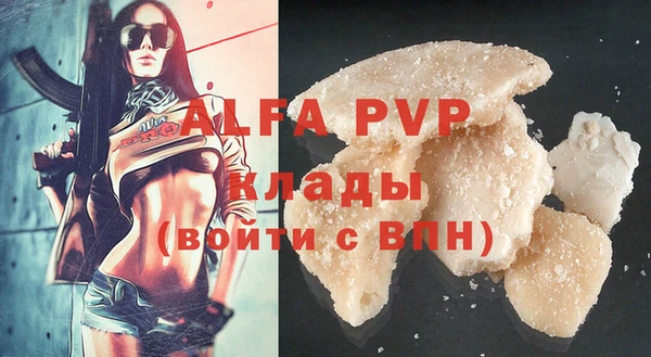 крисы Алексин