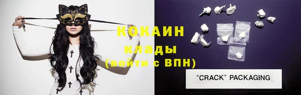 крисы Алексин