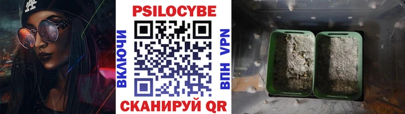mega ONION  Кондопога  Псилоцибиновые грибы Psilocybe  нарко площадка как зайти  где найти наркотики 