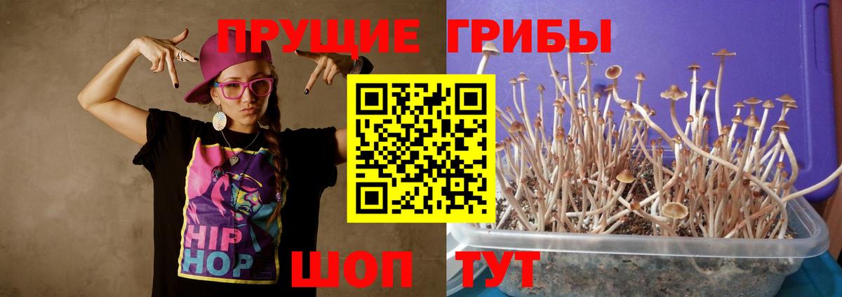 Псилоцибиновые грибы ЛСД  Вход с VPN  Кондопога 